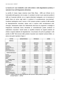 La leucina ed i suoi metaboliti, ruolo nella sintesi e nella