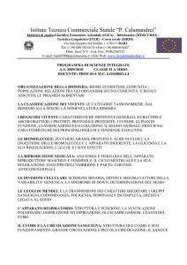 ProgrScienze_2_A SIRIO