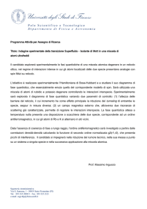 Polo Scientifico e Tecnologico Dipartimento di Fisica e Astronomia