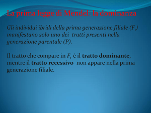 Gli individui ibridi della prima generazione filiale (F 1 )
