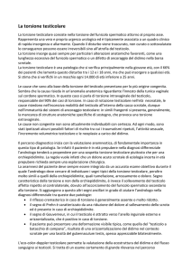 La torsione testicolare