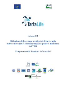 Presentazione standard di PowerPoint