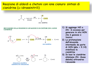 Presentazione di PowerPoint