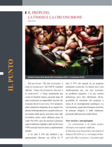 il prepuzio