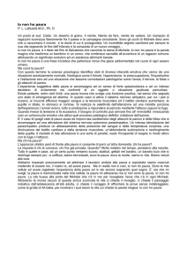 Un posto al sud - Integral Transpersonal Institute