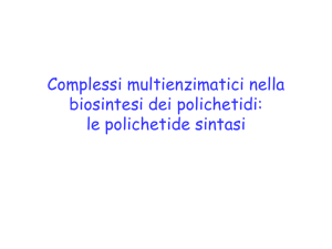 Polichetide sintasi - e