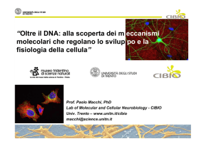 “Oltre il DNA: alla scoperta dei m eccanismi molecolari che regolano