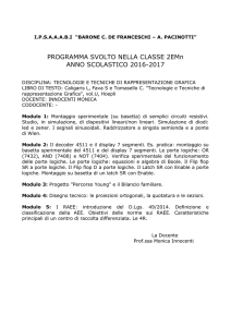 Disegno - IPSAAABI BCde FRANCESCHI