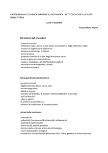 programma scienze VB