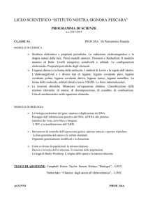 programma 3s