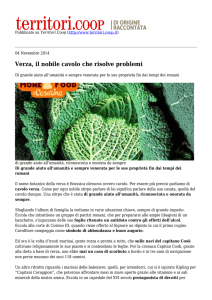 Stampa in PDF - Territori.Coop