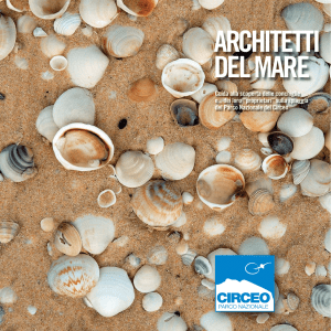 PNC-Depliant Conchiglie_Layout 1