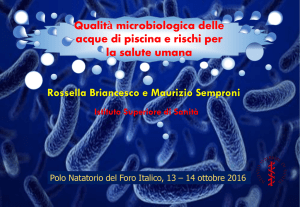 Relazione Briancesco [PDF - 4920.05 kbytes]