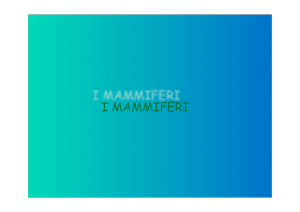 Copia di mammiferi