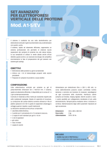 a1-5/ev - set avanzato per elettroforesi verticale