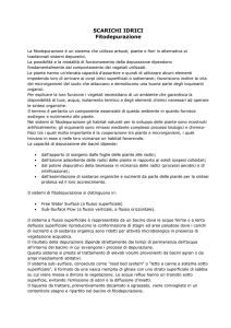 SCARICHI IDRICI Fitodepurazione