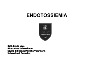 ENDOTOSSIEMIA