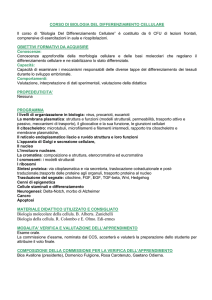 Biologia del differenziamento cellulare