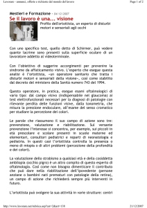 Se il lavoro è una... visione