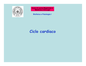 Ciclo cardiaco