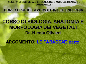 CORSO DI BIOLOGIA, ANATOMIA E MORFOLOGIA DEI VEGETALI