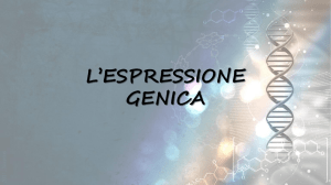 L`espressione Genica 3L - Suore Salesiane dei Sacri Cuori