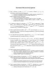 Esercitazioni Microeconomia Applicata