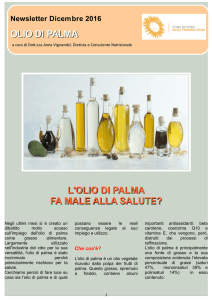 Newsletter dicembre 2016 “L`olio di palma”