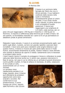 Leone - DigiScuola