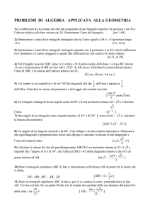 PROBLEMI DI ALGEBRA APPLICATA ALLA GEOMETRIA