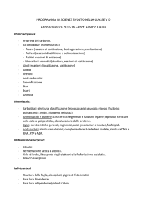 Programma di scienze svolto V D - Liceo Scientifico Statale Einstein