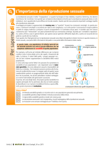 L`importanza della riproduzione sessuale