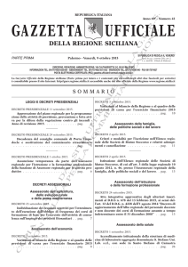 Linee guida a tutela della popolazione in caso di fenomeni eruttivi