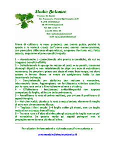 Prima di coltivare le rose, prendete una buona guida, poiché