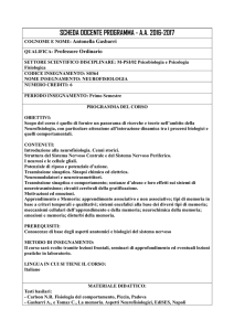 Neurofisiologia - Dipartimento di Scienze umane