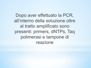 Sequenziamento - Macroarea di Scienze