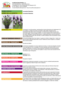 scheda tecnica - Floricoltura Pironi