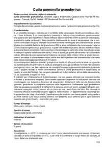 Cydia pomonella granulovirus
