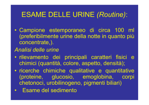 ESAME DELLE URINE (Routine)