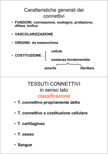 Caratteristiche generali dei connettivi TESSUTI CONNETTIVI in