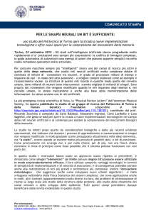 CS Per le sinapsi neurali un bit è sufficiente
