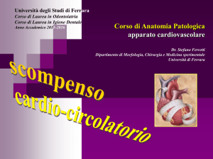 cuore polmonare