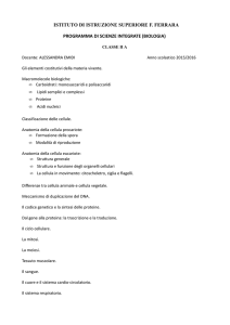 Programma biologia IIA Ferrara a.s.2015-2016