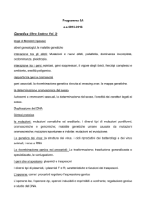 alberi genealogici, le malattie genetiche in