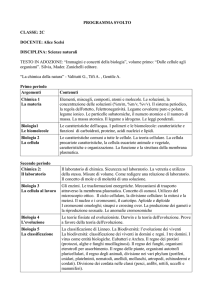 PROGRAMMA SVOLTO CLASSE: 2C DOCENTE: Alice Scelsi
