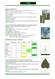 Taro - Unità di Ricerca per le Produzioni Legnose Fuori Foresta