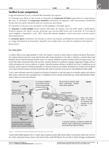 Curtis InvitoBlu ProvePISA Malaria