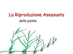RiproduzioneAsessuata