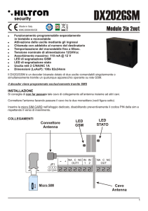 DX202GSM - Hiltron