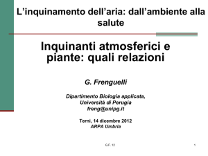 Slide Frenguelli